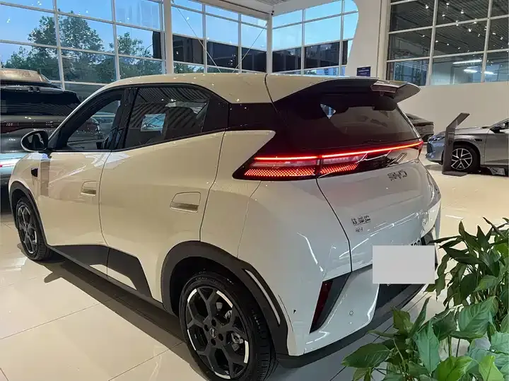 Seagull 2025 Model, 305 km, Freedom Edition 9