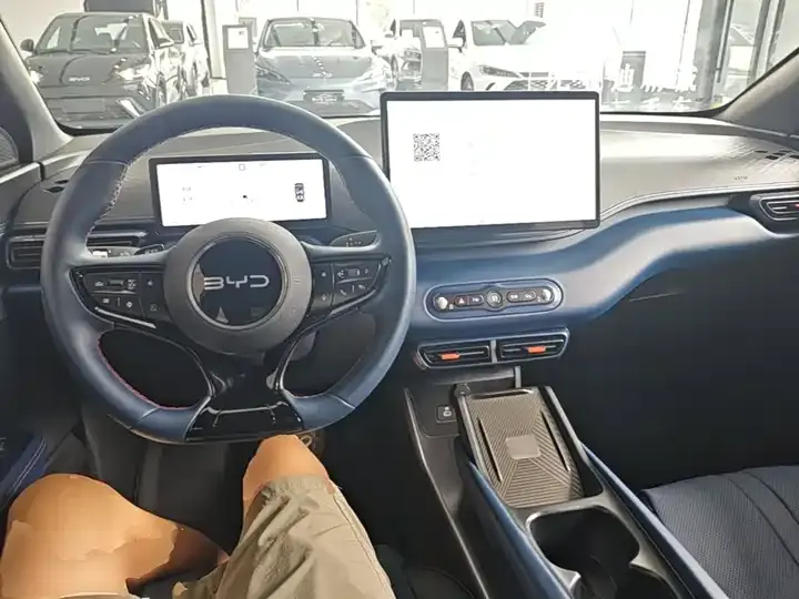 Seagull 2025 Intelligent Driving Version, 305 km, Freedom Edition 10