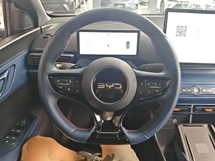 Seagull 2025 Intelligent Driving Version, 305 km, Freedom Edition 11
