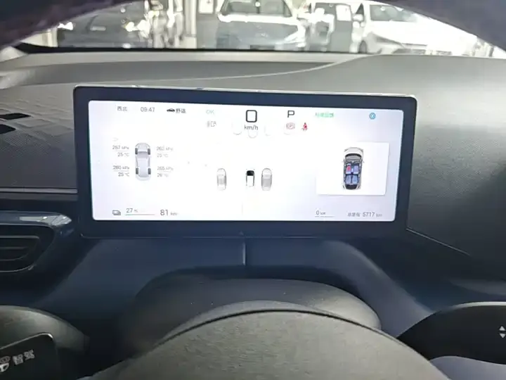 Seagull 2025 Intelligent Driving Version, 305 km, Freedom Edition 12