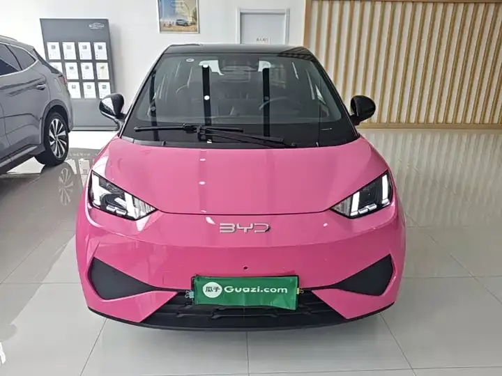 Seagull 2025 Intelligent Driving Version, 305 km, Freedom Edition 3