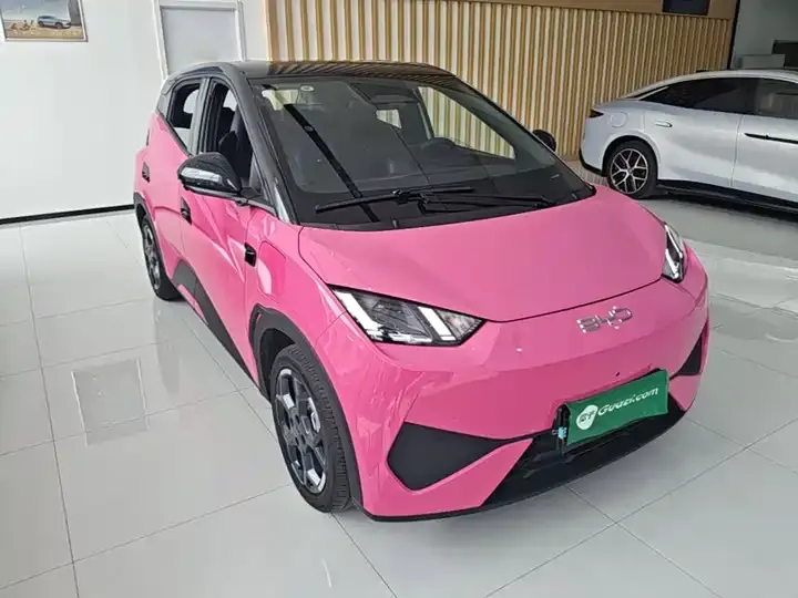 Seagull 2025 Intelligent Driving Version, 305 km, Freedom Edition 4