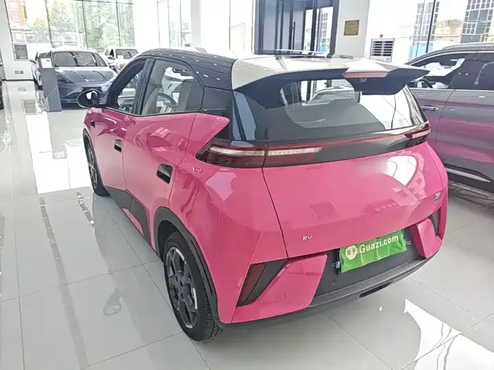 Seagull 2025 Intelligent Driving Version, 305 km, Freedom Edition 5