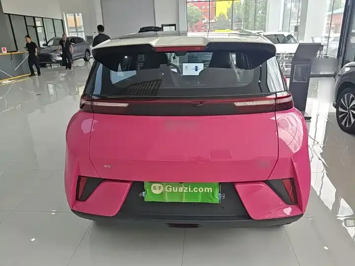 Seagull 2025 Intelligent Driving Version, 305 km, Freedom Edition 6