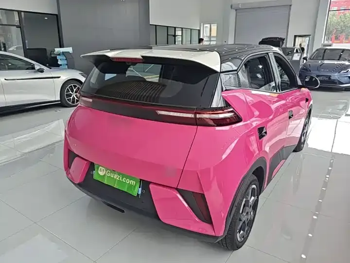 Seagull 2025 Intelligent Driving Version, 305 km, Freedom Edition 7