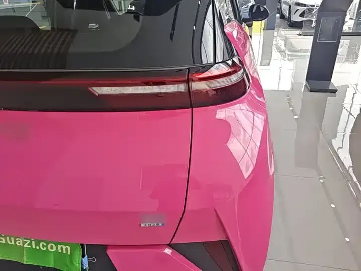 Seagull 2025 Intelligent Driving Version, 305 km, Freedom Edition 8