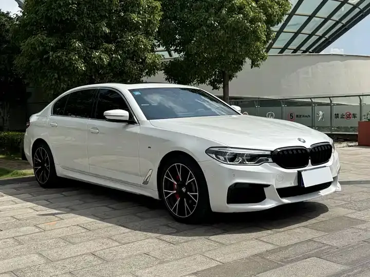 BMW 5 Series 2020 530Li Exclusive M Sports Suit - View 1