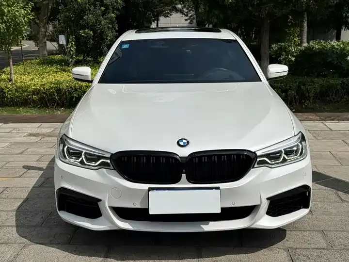 BMW 5 Series 2020 530Li Exclusive M Sports Suit 2