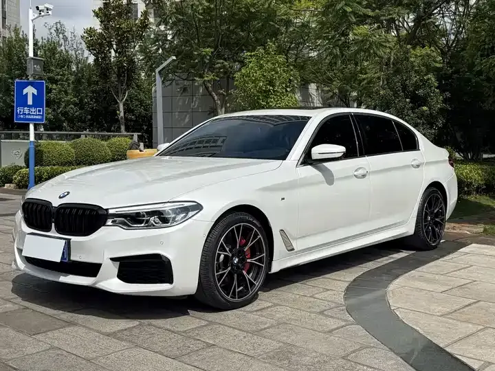 BMW 5 Series 2020 530Li Exclusive M Sports Suit 3