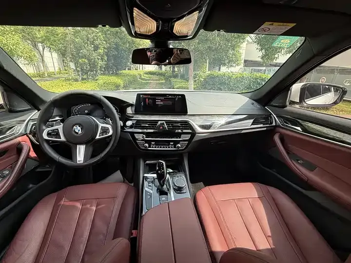 BMW 5 Series 2020 530Li Exclusive M Sports Suit 4