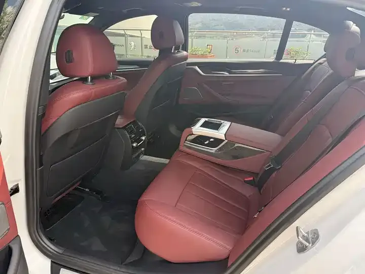 BMW 5 Series 2020 530Li Exclusive M Sports Suit 6