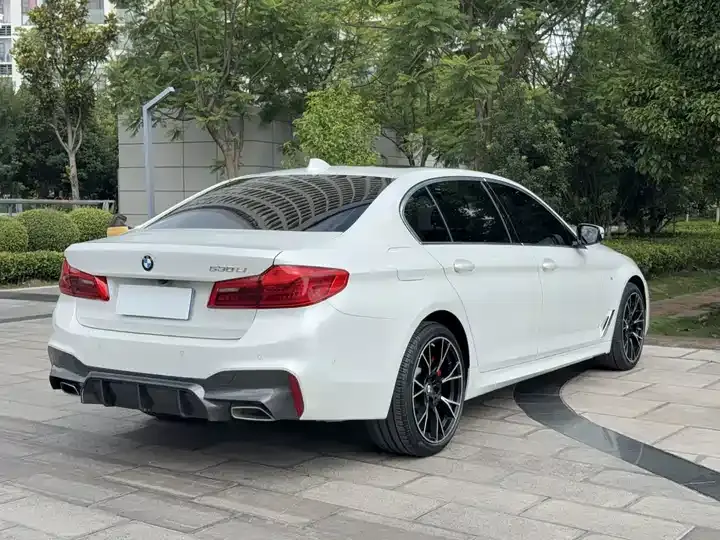 BMW 5 Series 2020 530Li Exclusive M Sports Suit 7