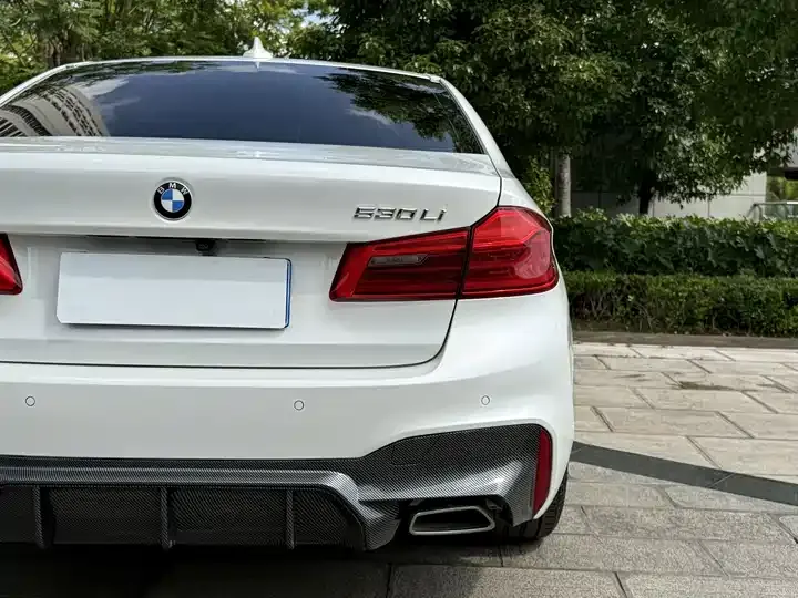 BMW 5 Series 2020 530Li Exclusive M Sports Suit 8