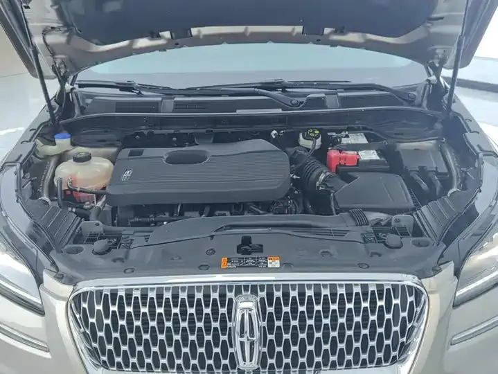 Adventurer 2020 2.0T Two-Drive Premium Edition 10