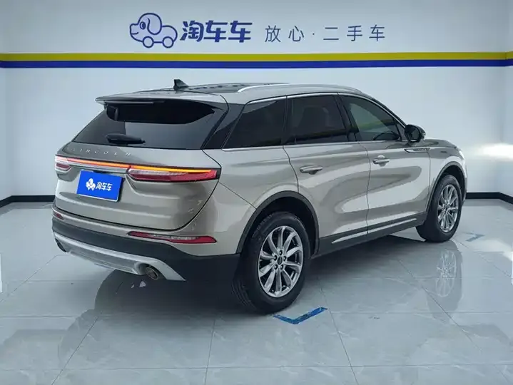 Adventurer 2020 2.0T Two-Drive Premium Edition 3