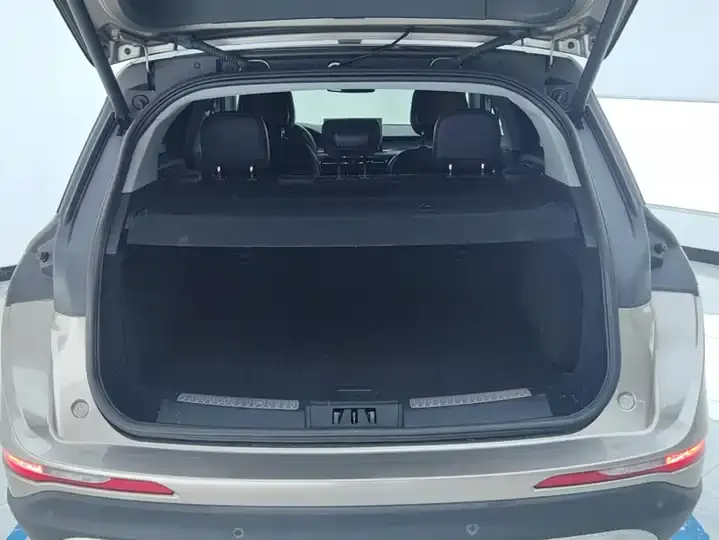Adventurer 2020 2.0T Two-Drive Premium Edition 4