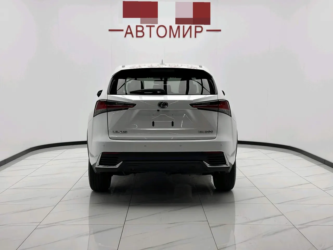 Lexus NX (Imported) 2020 NX200 2.0 Stepless Automatic Gear 10