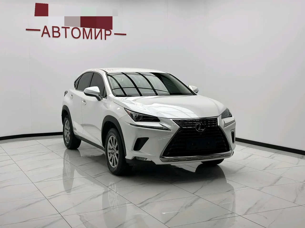 Lexus NX (Imported) 2020 NX200 2.0 Stepless Automatic Gear 3