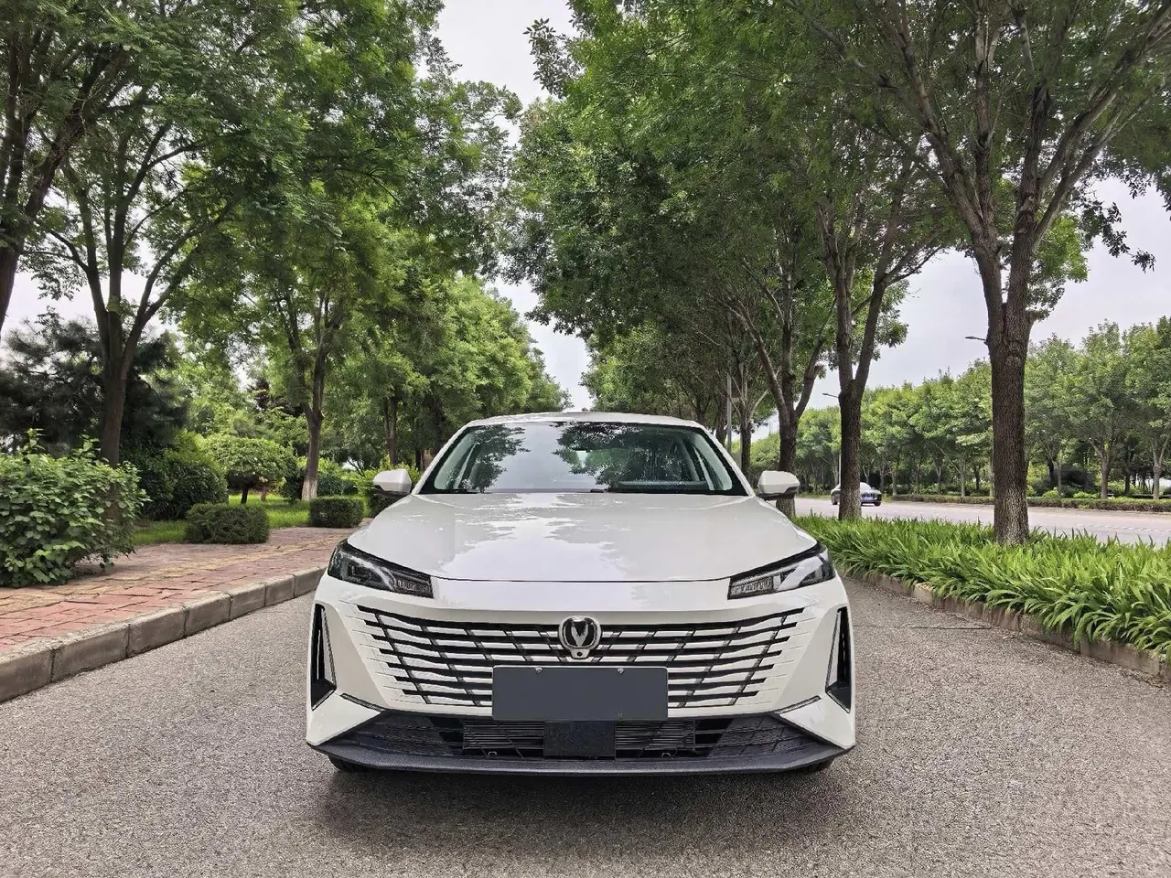 ChangAn Yidong New Energy 2025 Yidong PHEV 1.5 Stepless Smart New Blue Whale 145KM Battleship Edition Automatic Gear 3