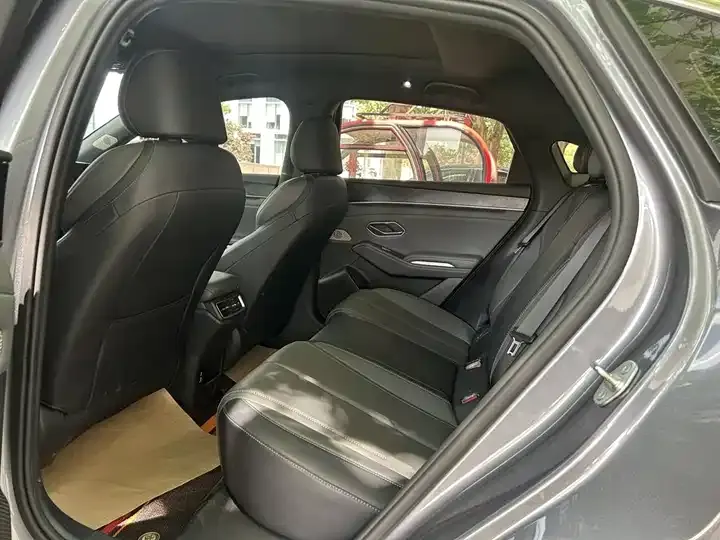 Qin L 2024 DM-i 120KM leading model 12