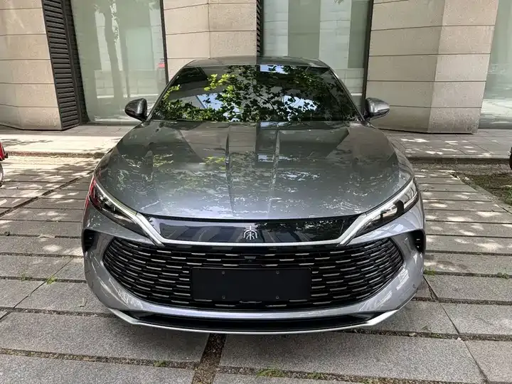 Qin L 2024 DM-i 120KM leading model 2