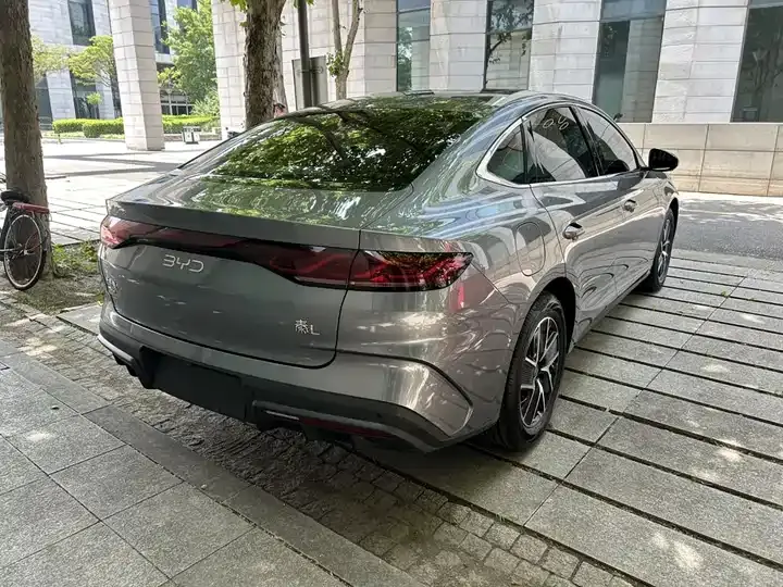 Qin L 2024 DM-i 120KM leading model 3