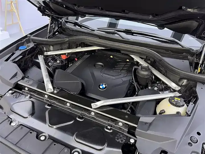 BMW X6 2021 xDrive30i M sports suit 12
