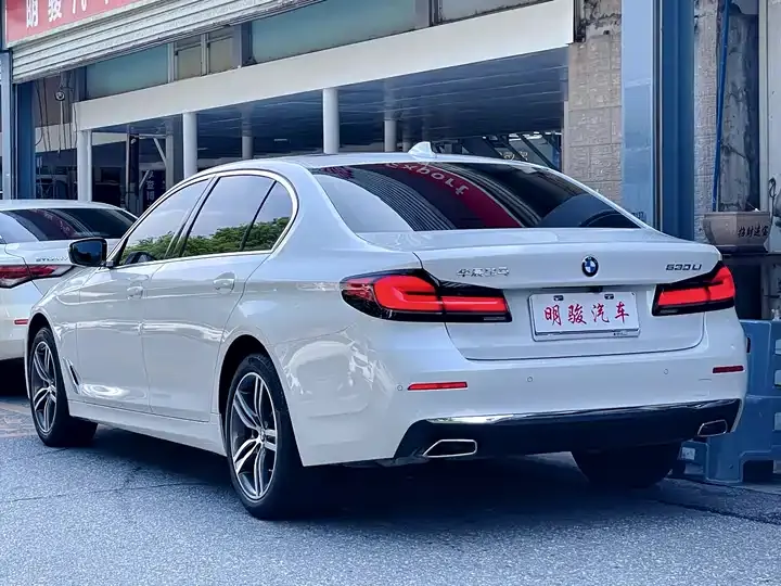 BMW 5 Series 2023 530Li Leading Luxury Suit 4