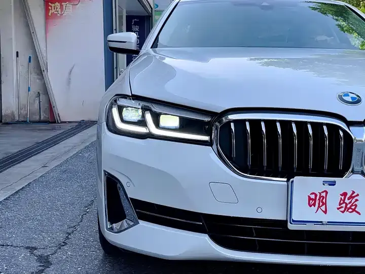 BMW 5 Series 2023 530Li Leading Luxury Suit 6