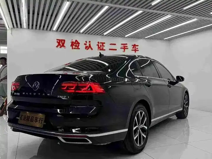 Magotan 2020 330TSI DSG Leading Edition 6