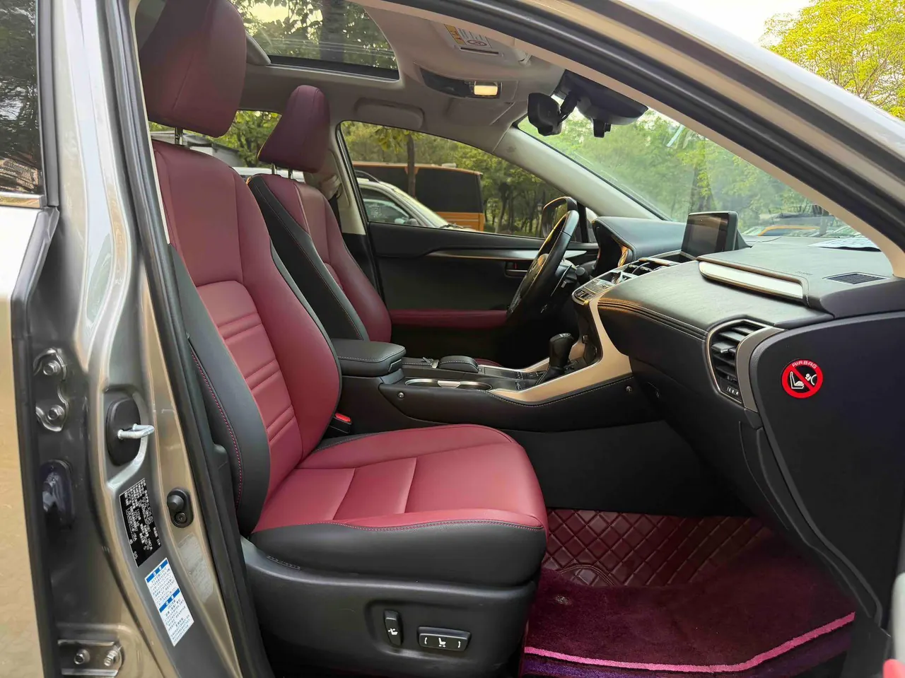 Lexus NX (Imported) 2020 NX200 2.0 Stepless Front Edition Automatic Gear 11