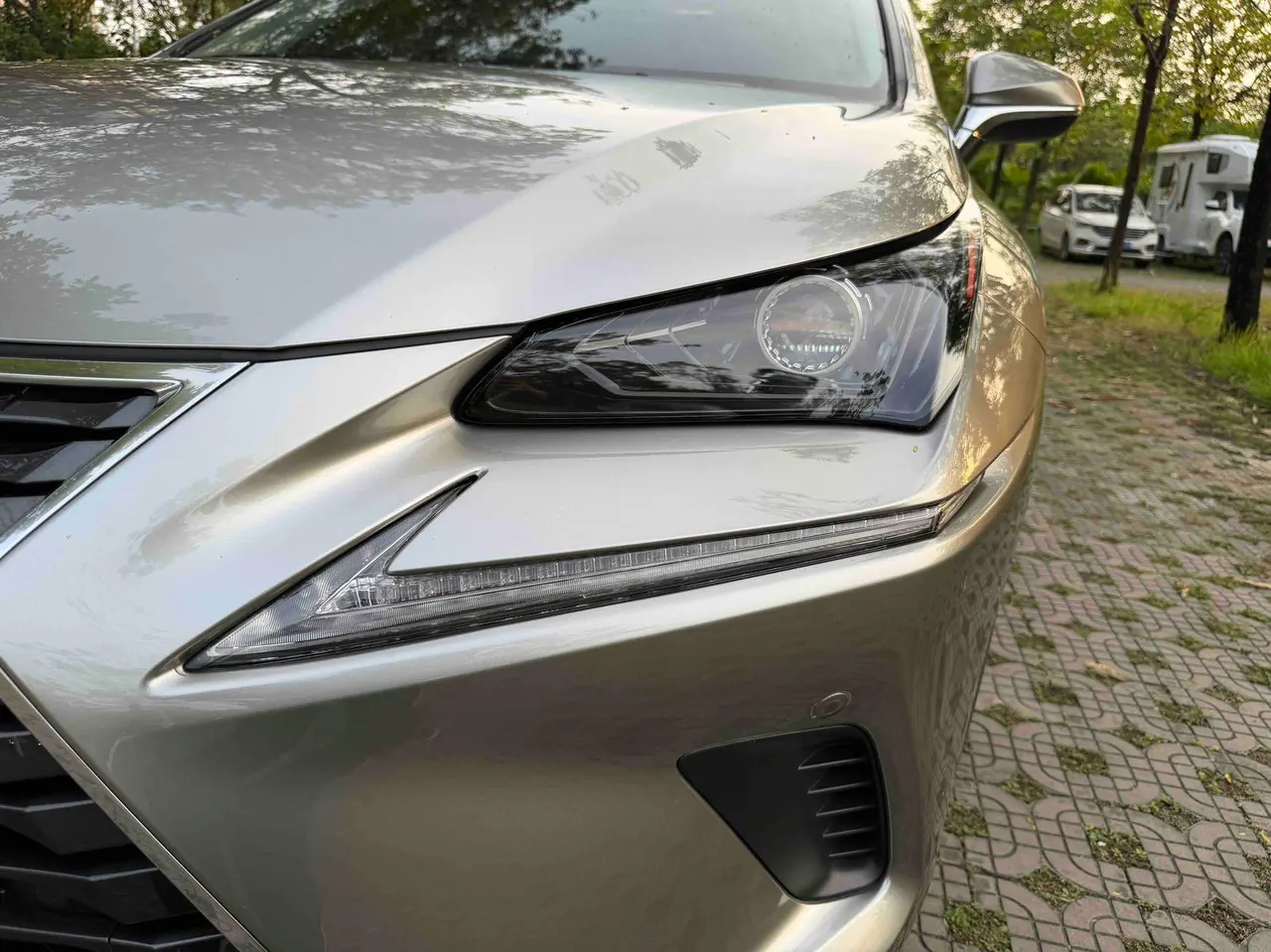 Lexus NX (Imported) 2020 NX200 2.0 Stepless Front Edition Automatic Gear 16