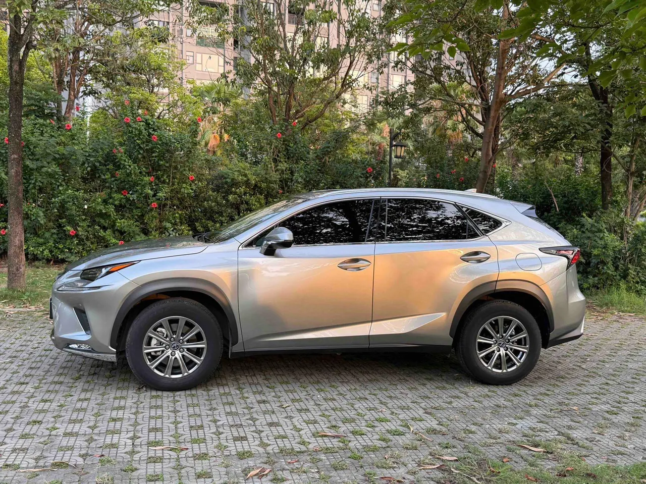 Lexus NX (Imported) 2020 NX200 2.0 Stepless Front Edition Automatic Gear 20