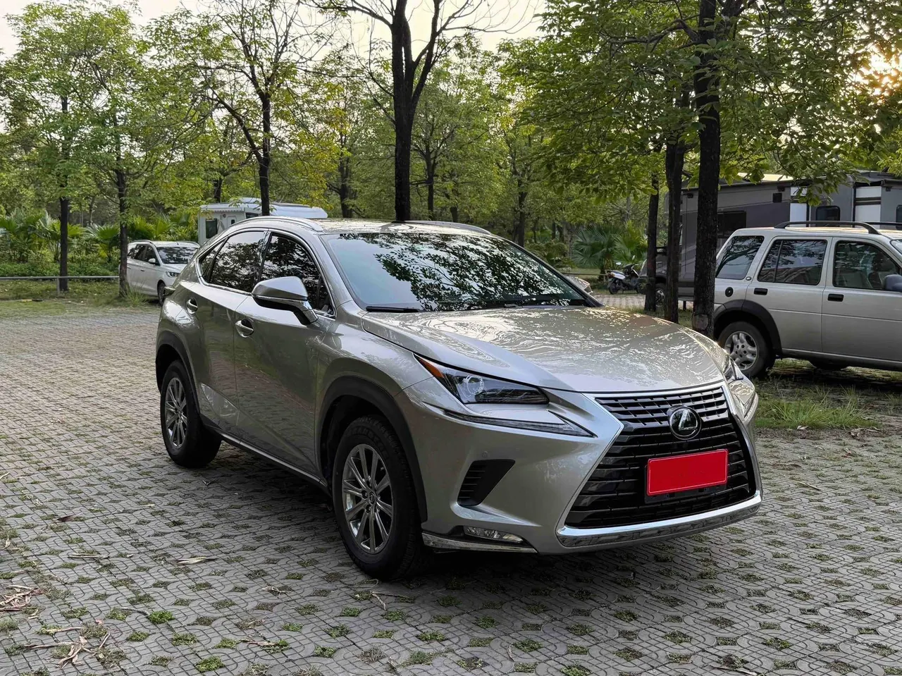 Lexus NX (Imported) 2020 NX200 2.0 Stepless Front Edition Automatic Gear 7