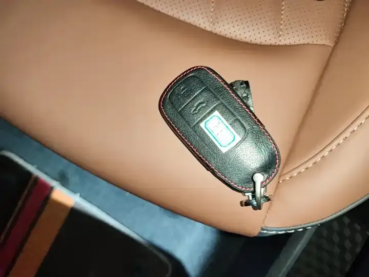 Ruihu 8 2020 to 290TGDI Auto Deluxe Edition 9