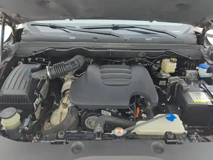 Gun 2021 2.0T Commercial Edition Automatic Diesel Two-Drive Elite Long Box GW4D20M 10