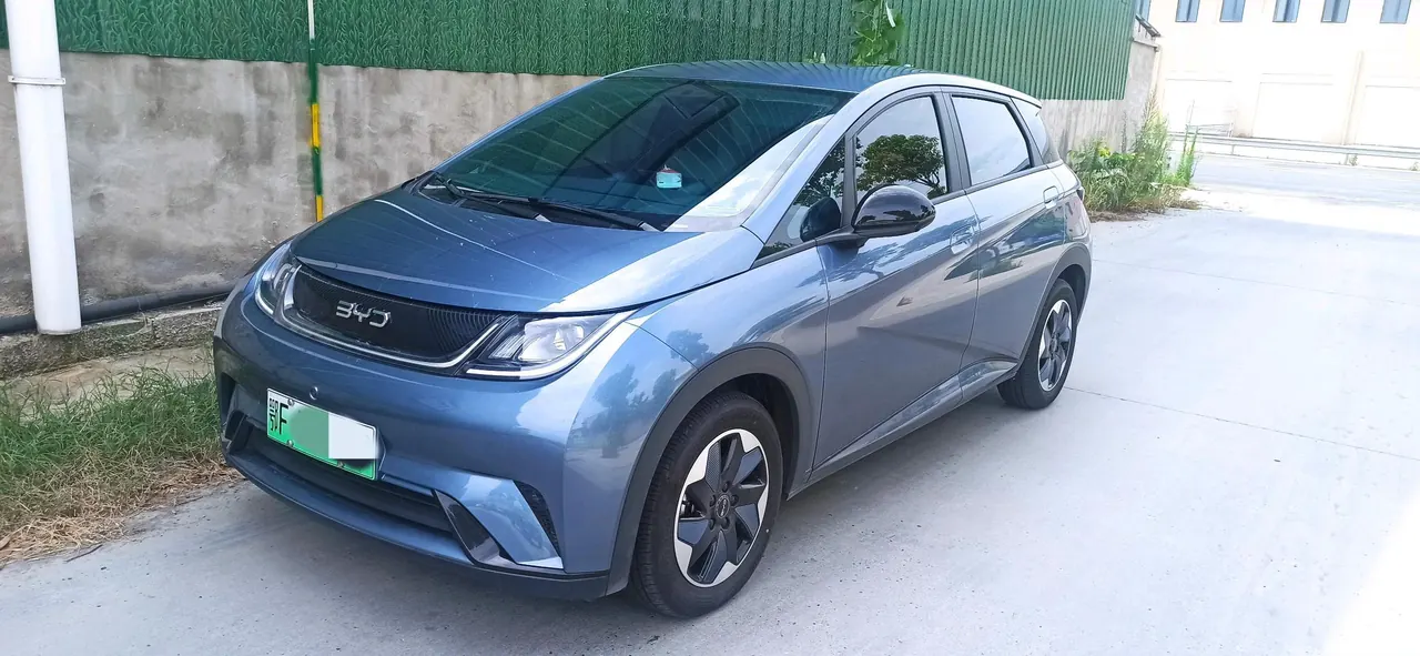 BYD 2025 Dolphins 420km Free Edition Automatic - View 1
