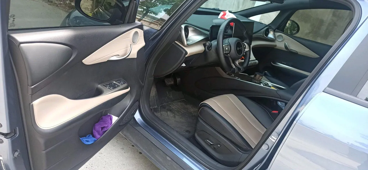 BYD 2025 Dolphins 420km Free Edition Automatic 2