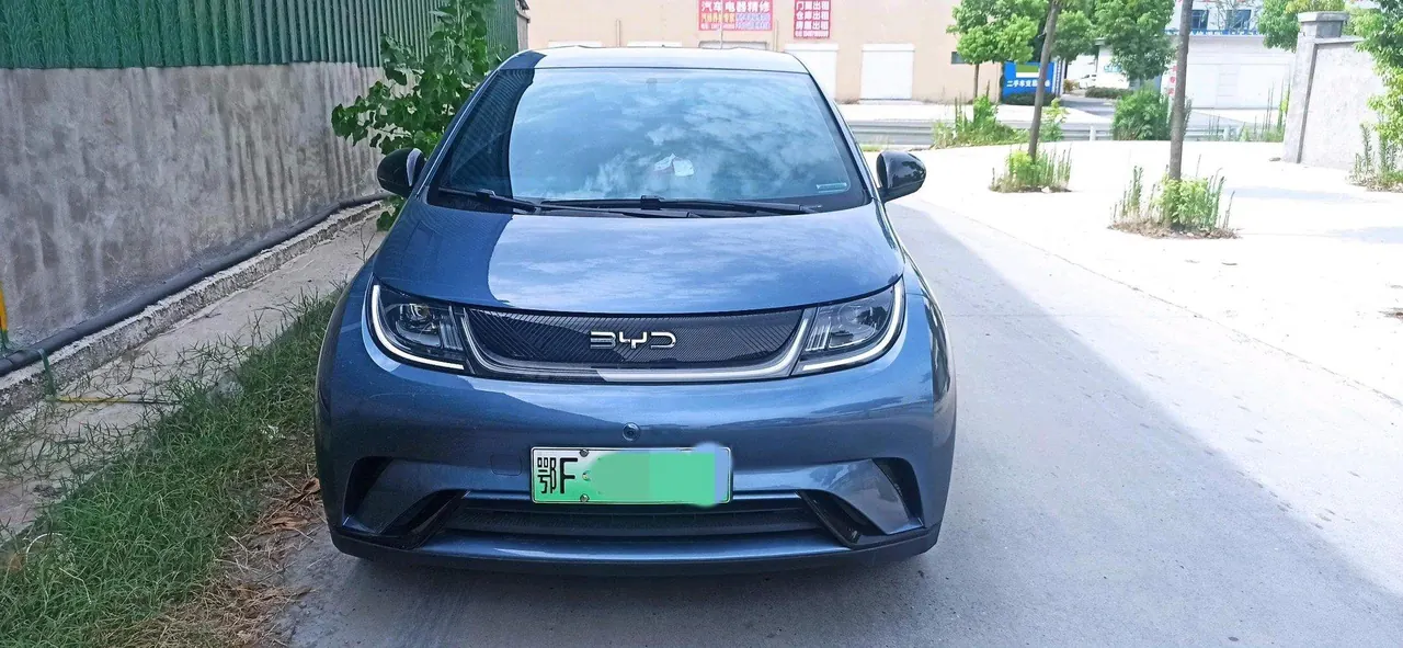 BYD 2025 Dolphins 420km Free Edition Automatic 3
