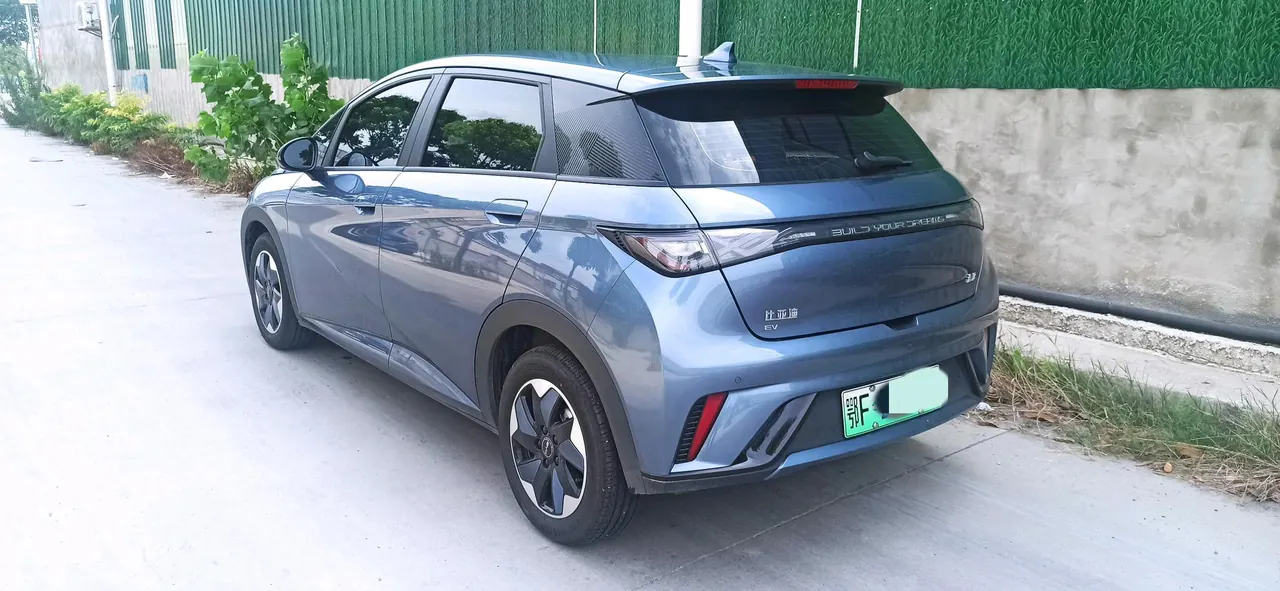 BYD 2025 Dolphins 420km Free Edition Automatic 7