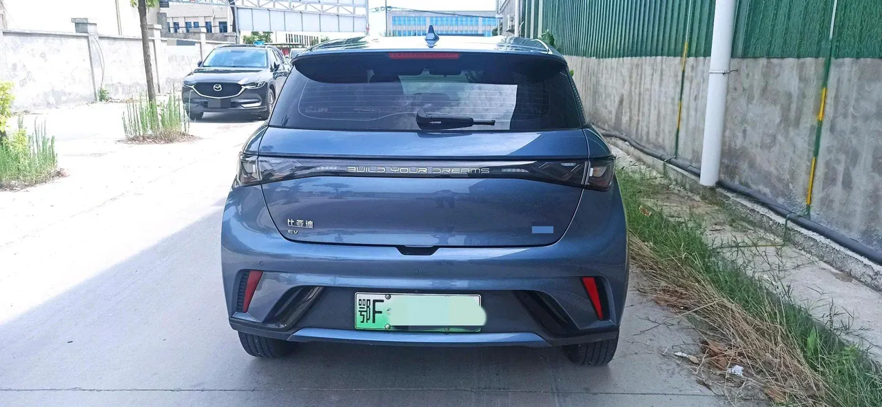BYD 2025 Dolphins 420km Free Edition Automatic 8