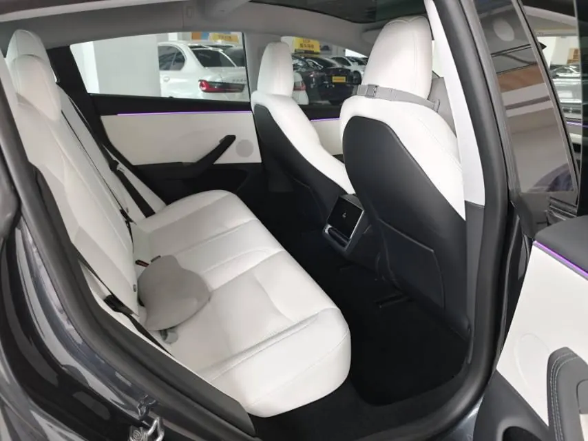 Tesla 2023 Model 3 Rejuvenation Edition Rear Wheel Drive Automatic Transmission 3