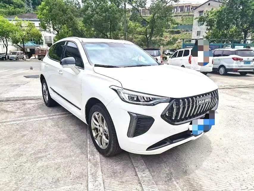 Haval 2023 Red Rabbit 1.5T Excellent Automatic Gear 2