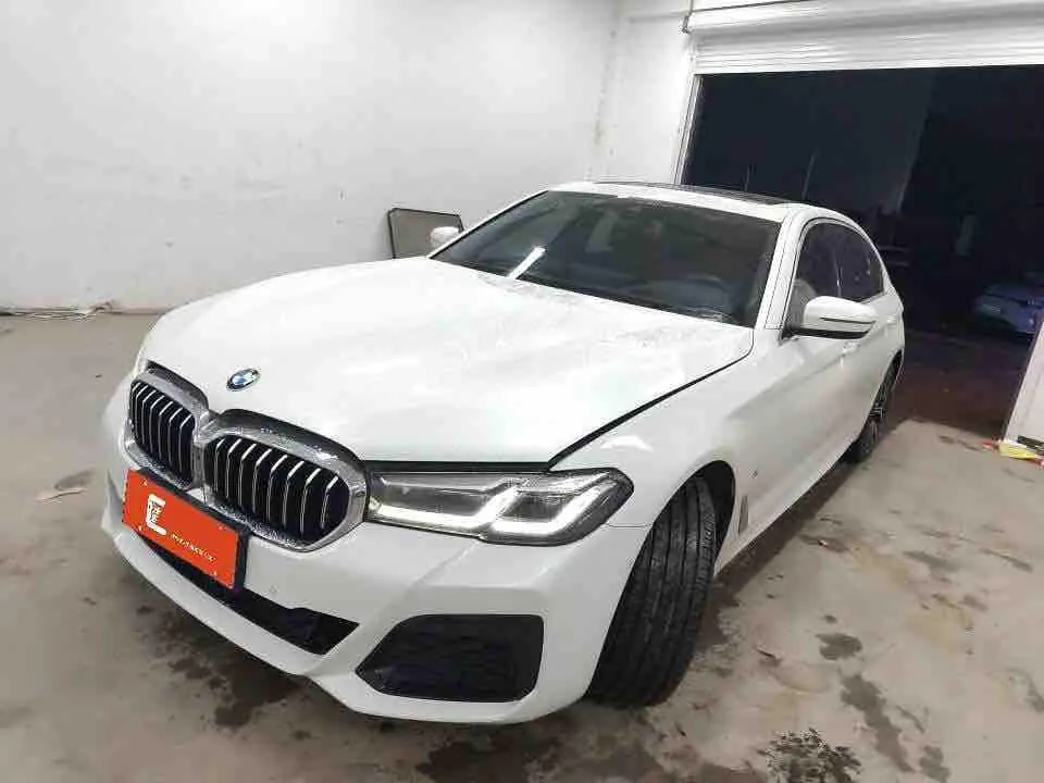BMW 5 Series 2021 530Li 2.0T Exclusive M Sports Suit Automatic Gear - View 1