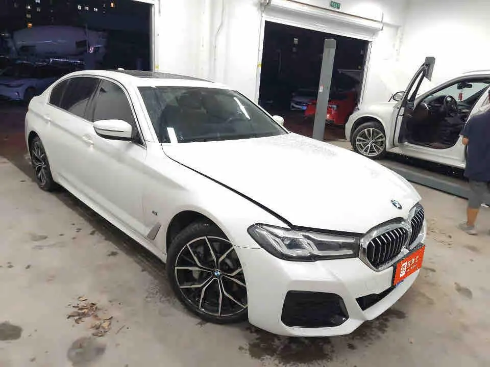 BMW 5 Series 2021 530Li 2.0T Exclusive M Sports Suit Automatic Gear 3