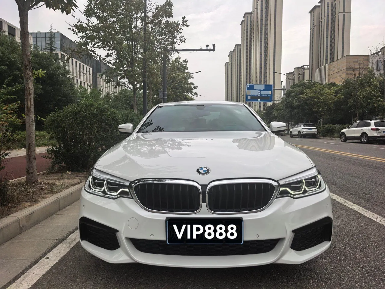 BMW 5 Series 2020 530Li xDrive 2.0T M Sports Suit Automatic Gear 5