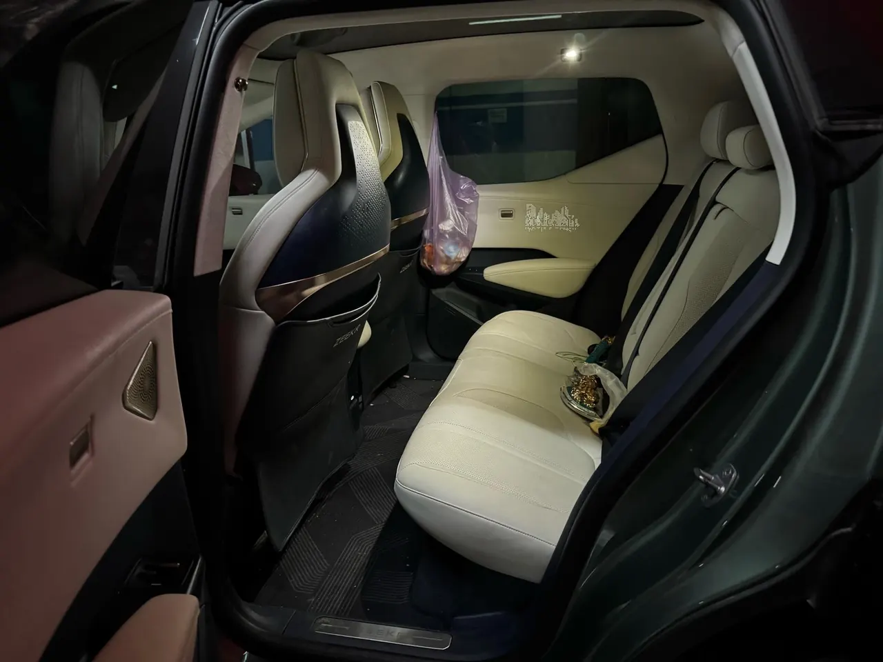 Zeekr 2023 Zeekr X Rear Drive ME Edition 5-seat Automatic Gear 5