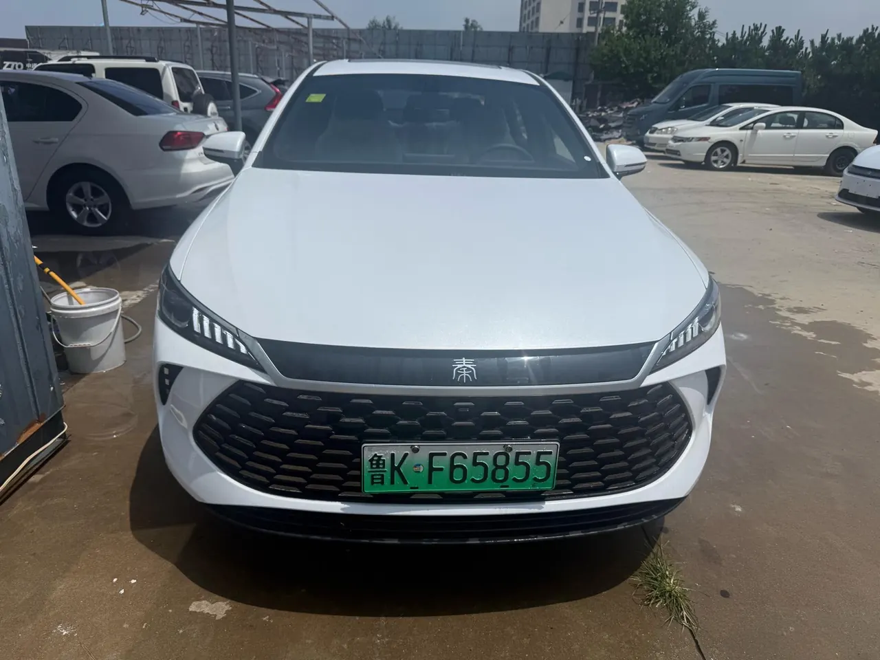 BYD 2026 Qin PLUS DM-i 1.5 stepless 210KM aggressive automatic gear 4