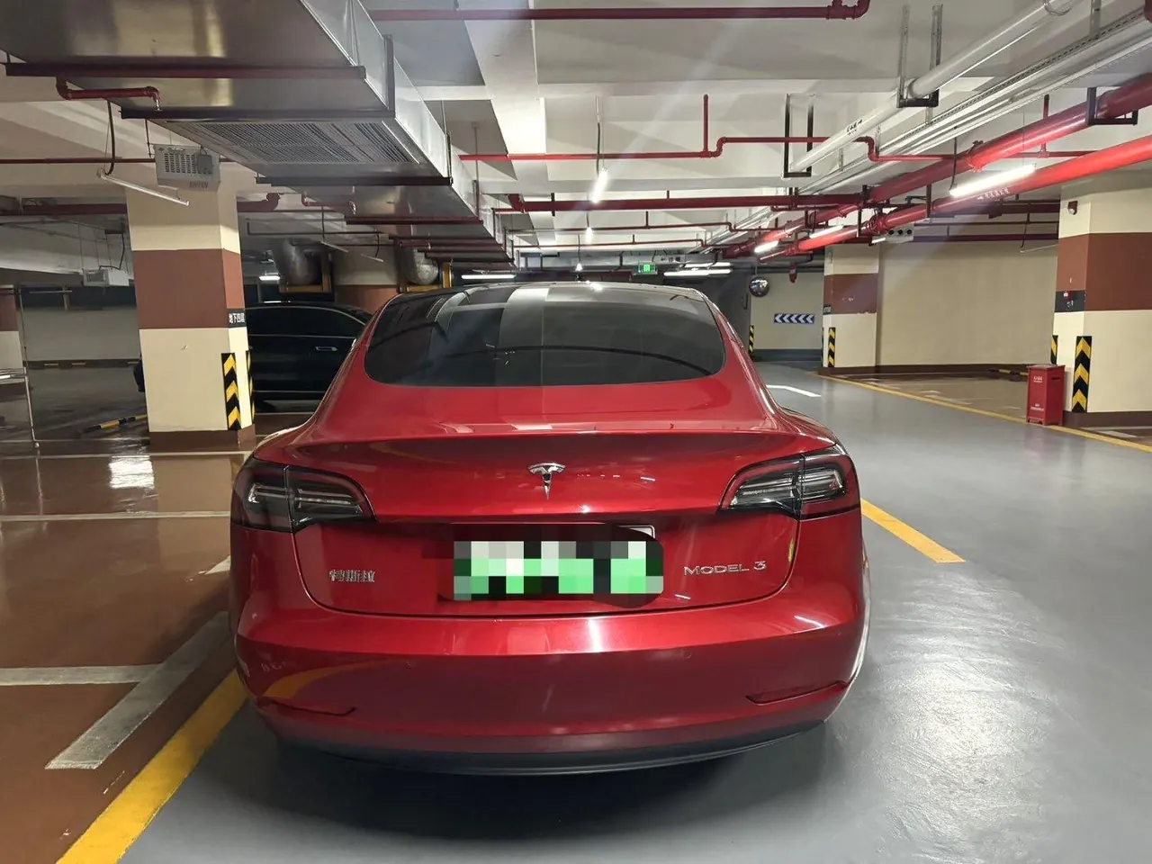 Tesla 2021 Model 3 Standard Endurance Rear Drive Upgraded Automatic Gear 5