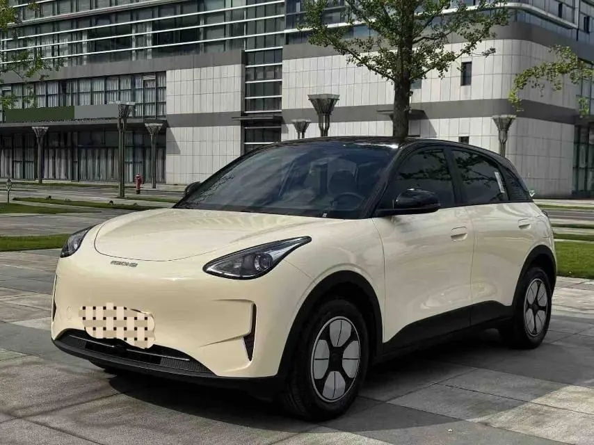Geely 2025 Star Wish 310km Dream Edition Automatic Gear - View 1